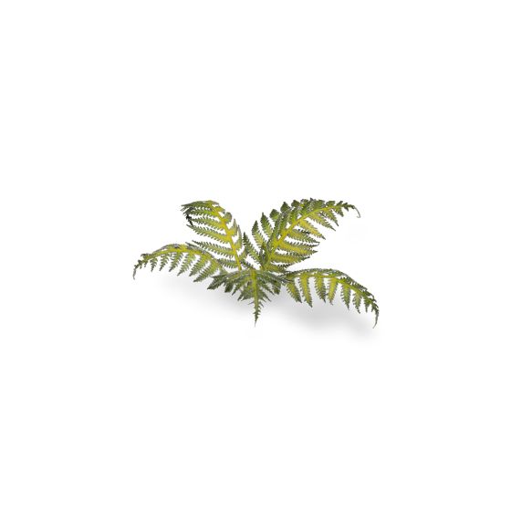 Bracken - Gamers Grass Laser Plants