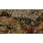 Agave - Gamers Grass Laser Plants