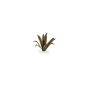 Agave - Gamers Grass Laser Plants